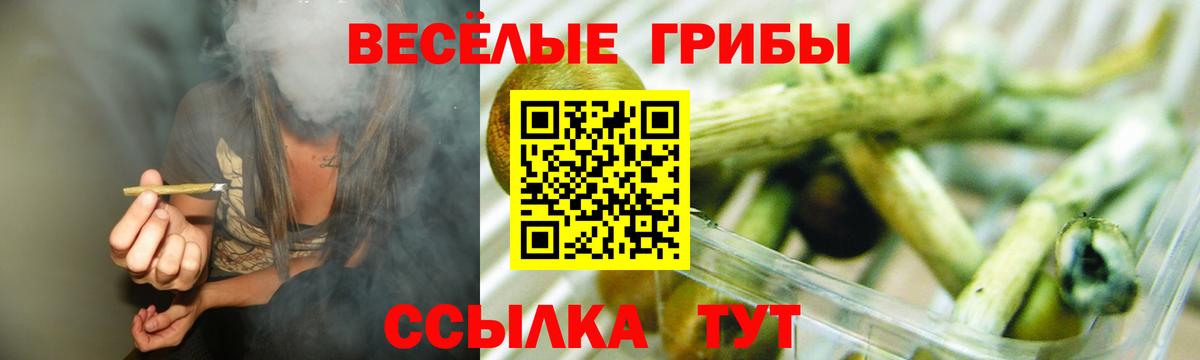 Галлюциногенные грибы Psilocybe  Вход с VPN  Нижний Тагил 
