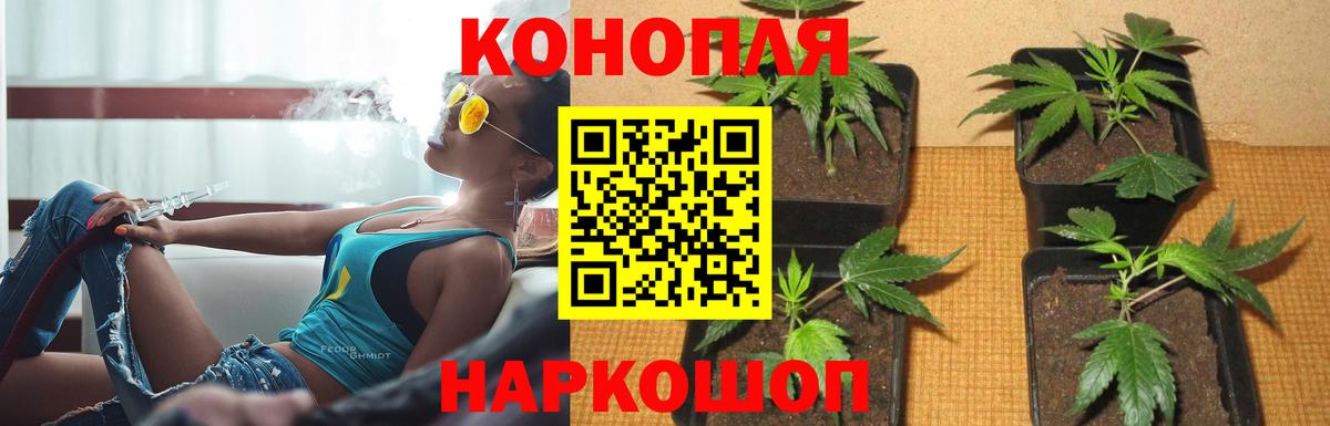 МАРИХУАНА индика Нижний Тагил